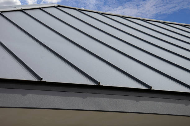 Best Roof Moss and Algae Removal  in Lytle, TX
